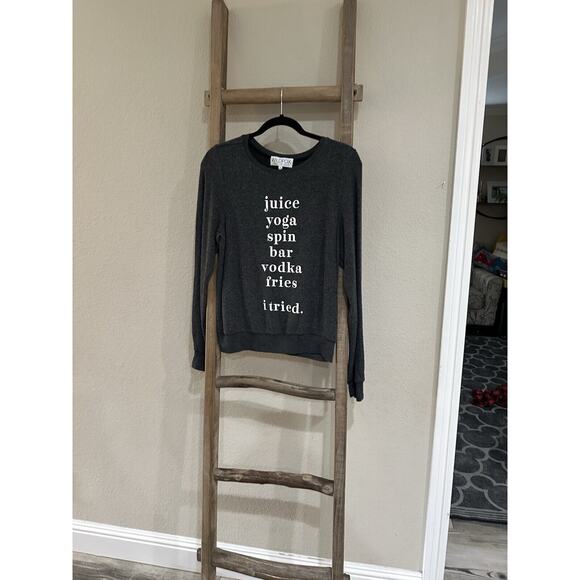 Wildfox “JUICE YOGA SPIN BAR VODKA FRIES I TRIED” Baggy Beach Sweatshirt Gray XS - Picture 2 of 7